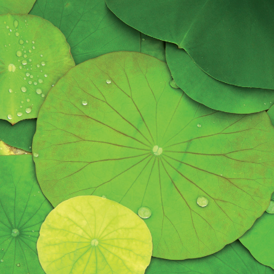 Alexandra Schudel Massagepraxis