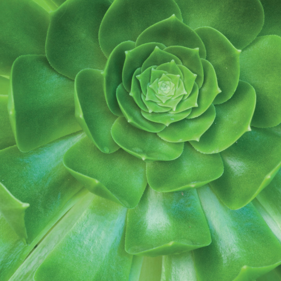 Alexandra Schudel Massagepraxis