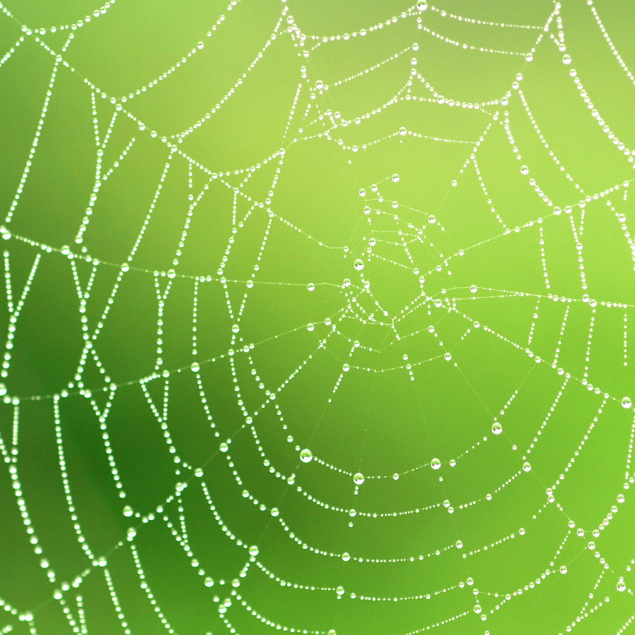 Alexandra Schudel Massagepraxis