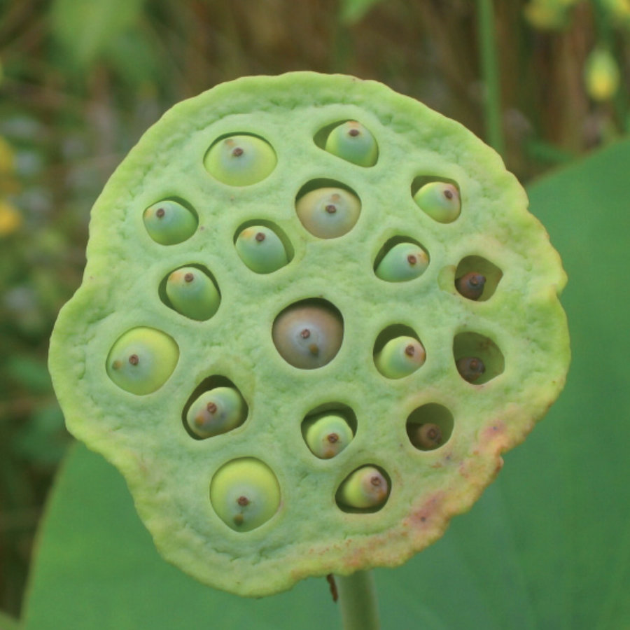 Alexandra Schudel Massagepraxis